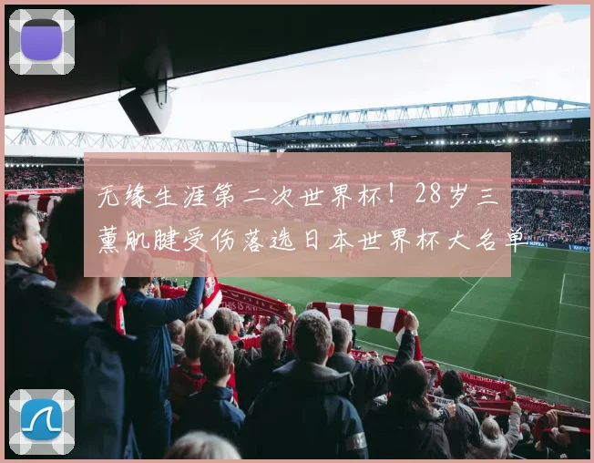 无缘生涯第二次世界杯！28岁三笘薰肌腱受伤落选日本世界杯大名单