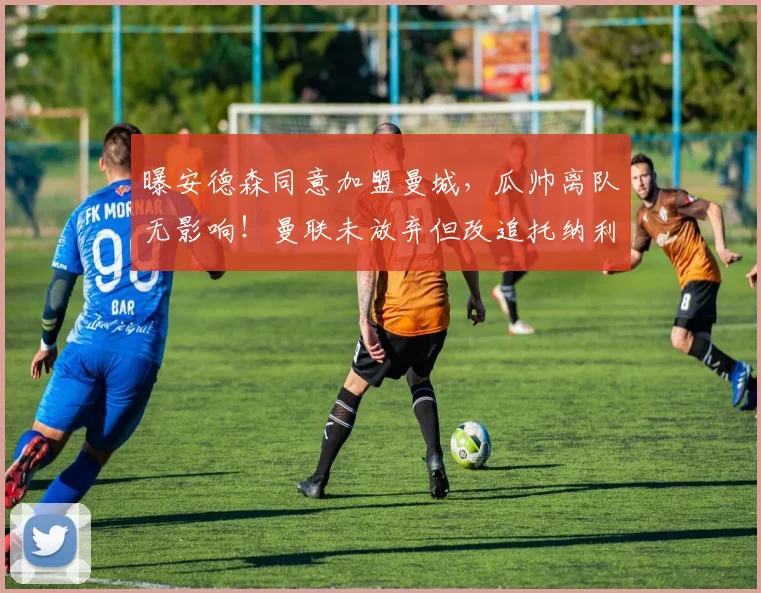 曝安德森同意加盟曼城，瓜帅离队无影响！曼联未放弃但改追托纳利