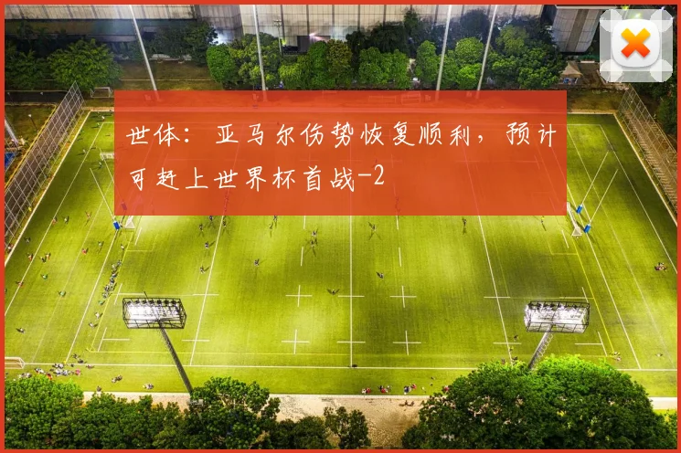 世体:亚马尔伤势恢复顺利,预计可赶上世界杯首战